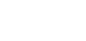 Logo Magallanes blanco